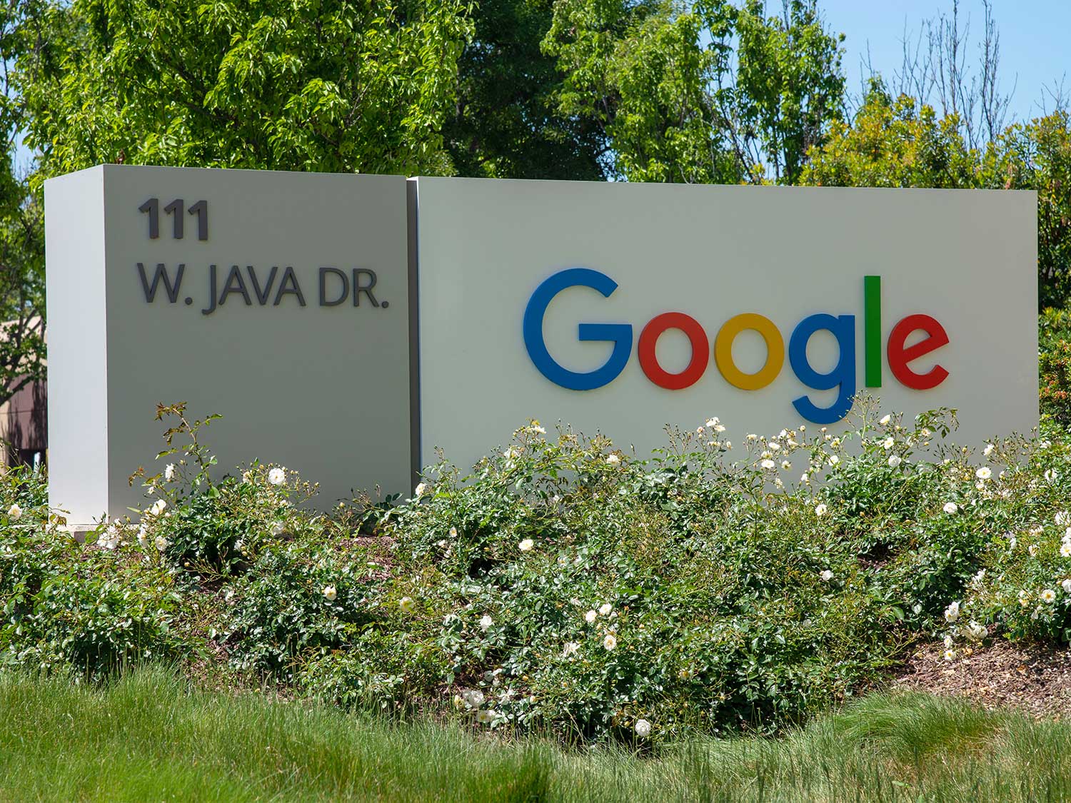 Yagive